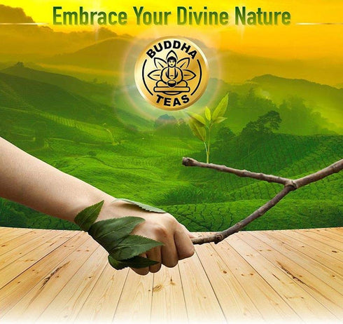 Buddha Teas Organic Blackberry Leaf Tea - OU Kosher, USDA Organic, 18 Bleach-Free Tea Bags