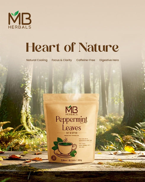 2.8 oz (80g) 100% MB Herbals Peppermint Leaves Cut & Sifted | Pure Dried Mentha piperita | Herbal Mint Infusion | No