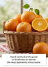 3.38 oz (100ml) 40 Pack, Korean Food CJ Freshway Orange & Tangerine Juice Drink fl x Korean Citrus Juice Beverage