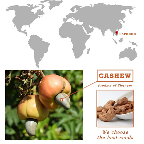 (14.1 oz) LAFOOCO Sea Salt Caramel Cashews, Vietnam Cashews, Lightly Salted, Sweet Tasty Snack, Rich in Nutrients
