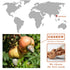 (14.1 oz) LAFOOCO Sea Salt Caramel Cashews, Vietnam Cashews, Lightly Salted, Sweet Tasty Snack, Rich in Nutrients