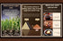 MOORCHOCO (12.34oz) Black Sugar Powder from Yunnan, Pure Brown Sugar Sweetener for Cooking, Additive-Free