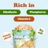 6 Food to Live - Organic Toasted Blanched Sliced Almonds, Ounces Unsalted & Dry Roasted, Premium Non-GMO Almond Nuts