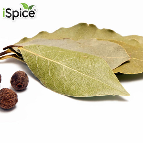 100% Dishes|0.3 Oz (8.5g) iSpice Whole Bay Leaf, Dried Herbs Natural, Gluten Free, Green Bay Leaf Seasoning Well