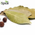 100% Dishes|0.3 Oz (8.5g) iSpice Whole Bay Leaf, Dried Herbs Natural, Gluten Free, Green Bay Leaf Seasoning Well