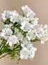 Cassiolina 10 Stems Fresh Alstroemeria Flowers Peruvian Lily Bouquet Mixed Color Stems Long Lasting Fresh Flowers