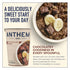 Anthem Dark Chocolate Brownie Instant Oatmeal Cup-Enjoy High-Protein Oatmeal Cups with Rich Chocolate Flavor-Ideal