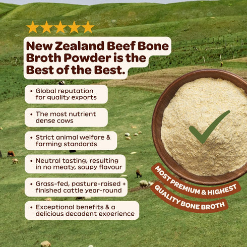 (5-Pack) Beck's Broth Protein Hot Chocolate | Made w/Pasture Raised Bone Broth Powder | Dairy Free, Gluten Free | High