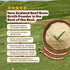 (5-Pack) Beck's Broth Protein Hot Chocolate | Made w/Pasture Raised Bone Broth Powder | Dairy Free, Gluten Free | High
