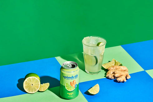 12 Pack Spindrift Soda Ginger Ale Soda Made with Real Squeezed Fruit Case