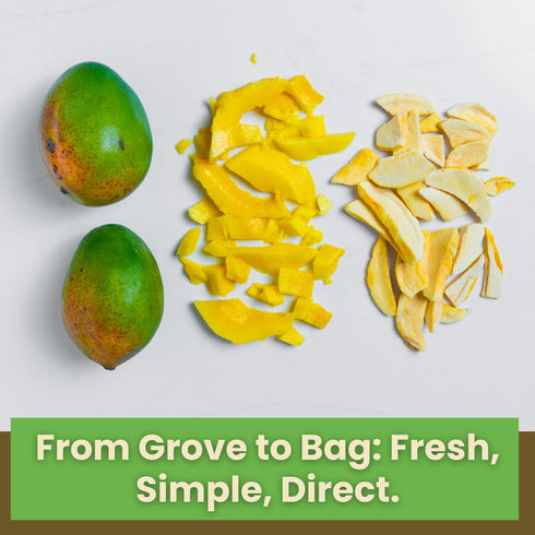 1oz Packs 100% Wise Harvest Freeze-Dried Family Fruit Bundle Six | Single Ingredient Snack | Real Fruit, No Sugar