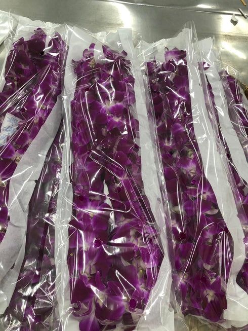 Vibrant Purple Sonia Orchid Lei - Fresh Tropical Dendrobium
