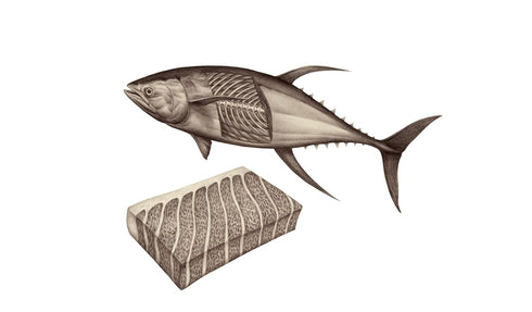 Regalis Yellowfin Ventresca Tuna Belly - Premium Spanish Tinned Seafood