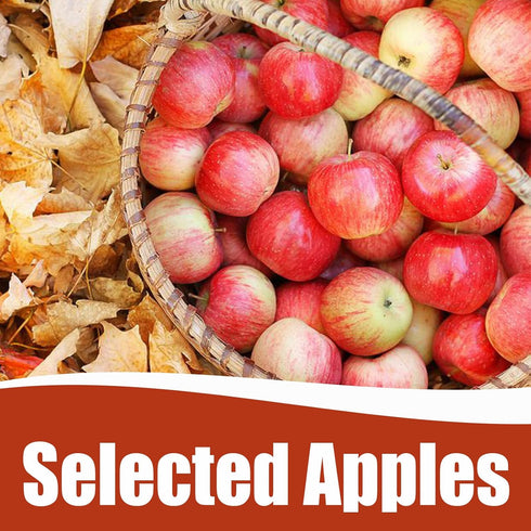 LXJZGYJQ 10.58 oz (300g), Simmer Dried Apples, Apple Chips, Dried Apple Slices for Pot, DIY Baking and Candle Crafts