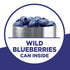 17.1-Ounce (Pack 2) Krusteaz Wild Blueberry Muffin Mix, Box