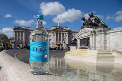 Hildon 11.2 oz (6 - Delightfully Still (Non-Sparkling) Natural Mineral Water, fl Glass Bottles)