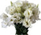 10 Stems Grade A White Lisianthus Fresh Cut Flowers Bouquet for Home