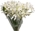 10 Elegant White Lycoris Radiata Bouquet - Premium Floral Stems for Home D cor