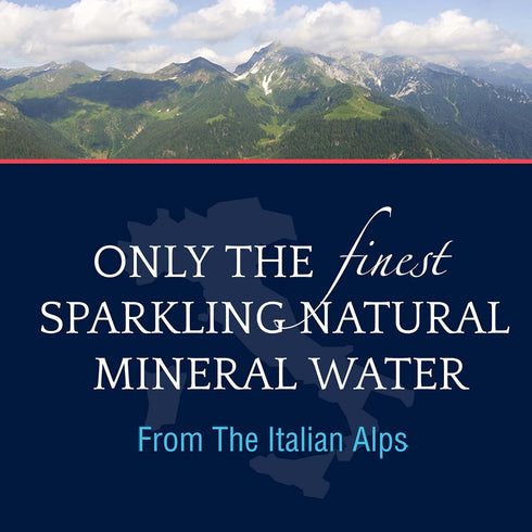 25.3 SAN PELLEGRINO Sparkling Mineral Water, FZ
