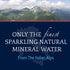 25.3 SAN PELLEGRINO Sparkling Mineral Water, FZ