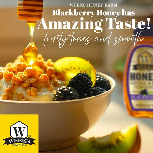 1960 (16 oz 3 Pack) Group WHF Blackberry Honey - Weeks pure, raw & unfiltered American blackberry honey is kosher