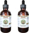 Hawaii Pharm Cacao Alcohol-Free Liquid Extract, Cacao (Theobroma Cacao) Raw Bean Glycerite Natural Herbal