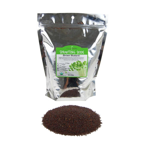Organic Brown Mustard Sprouting Seeds: 2 Lb - Hot Mustard Seed: for