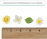 Summer 42 Count 60 Global Sugar Art Blossom, Roses and Leaves Edible Sugar Cake & Cupcake Flowers, Assorted Colors