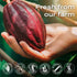 (2 (32 oz)) U Chocolate Organic Cacao Powder - Natural - Fresh From our Farm bags