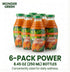 Wonder Green 100% 8.45 oz (6 Pack) Organic Carrot, Celery & Kale Cold Pressed Juice, | Vegetable Juice Blend, All