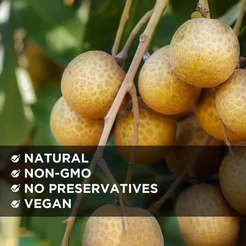 ,100% 1LB (16oz) ,Packed NESTLADY Natural Dried Longan fruit Meat ,,No Sugars , Used in teas, Snacks, Dessert
