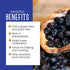 PuroRaw 2 lbs. 2 Dried Blueberries No Sugar Added, Blue Berries Fruit, Dehydrated Blueberries Fresh Dried Blueberries