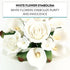 Global Sugar Art Calla Lily and Peace Rose Sugar Flower Bouquet, White Wedding Cake Topper by Chef Alan Tetreault