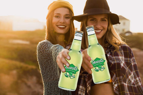 Stewart's 12 oz (6 Pack 72 Oz) Stewarts Glass Bottle Soda Total of (Key Lime Soda)