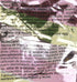 Pack 10 MAMA Instant Ramen Noodle, Tom Yum Shrimp Flavor
