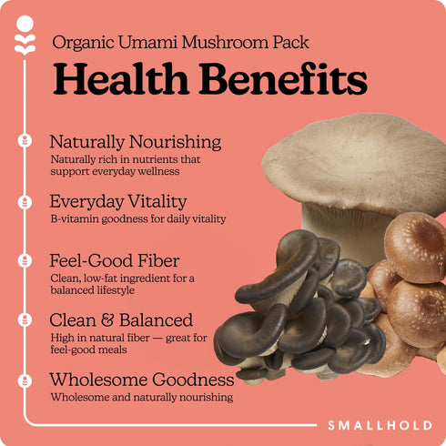 Smallhold Pack 8oz Fresh Organic Umami Mushroom | Locally Grown Gourmet Mushroom | Ready to Cook, Nutrient-Dense