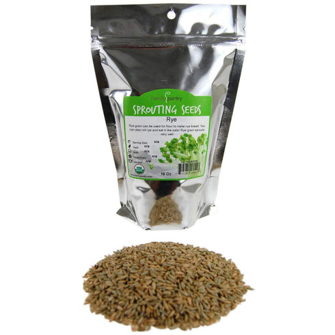 1 Lb Bag Organic Rye Grain Seeds - Rye Seed for Sprouting Rye Berries, Rye Seeds for Organic Rye Flour, Rye Meal, Rye