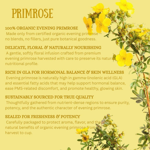 Healthy Healing Herbs 100 Organic Primrose Tea Tea Bags | Premium Dried Primrose Herb | Naturally Caffeine-Free Herbal