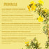 Healthy Healing Herbs 100 Organic Primrose Tea Tea Bags | Premium Dried Primrose Herb | Naturally Caffeine-Free Herbal