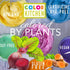 ColorKitchen Food Coloring 10-Pack – Plant-based, Artificial Dye-free, Gluten-free, Kosher, Non-GMO, Vegan