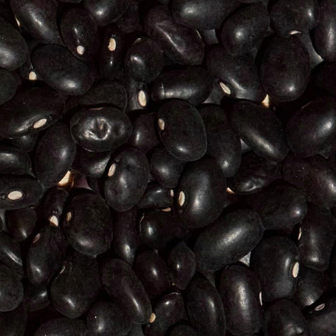 Immune-Boosting (2 Pack, 12 oz SIMPLi Regenerative Organic Certified Black Beans, Creamy and Rich Flavor, Vitamin C