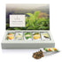 Tea Forte Green Tea Assortment Gift Set, 15 Count, Single Steeps Loose Leaf, Assorted Blends, Pre-Portioned Pouches