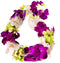 Generic Graduation Leis, Fresh Cut Orchids Flower Leis, Long-lasting double leis made of