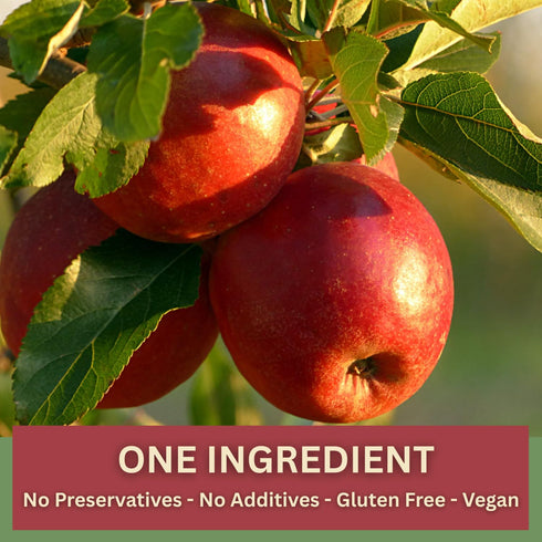 1oz Packs 100% Wise Harvest Freeze-Dried FUJI Apples Five | Single Ingredient Snack | Real Fruit, No Sugar Added, Just
