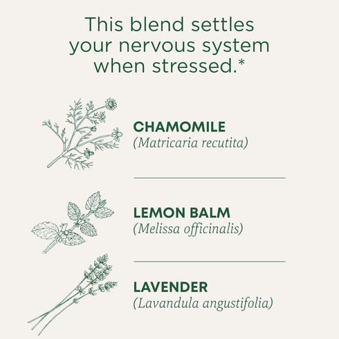 96 (6 Pack) Traditional Medicinals Tea, Organic Chamomile & Lavendar, Stress Relief, Tea Bags