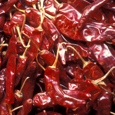 Alma Gourmet Whole Dried Calabrian Chili Peppers | 100 Gram | 3.5 Ounce