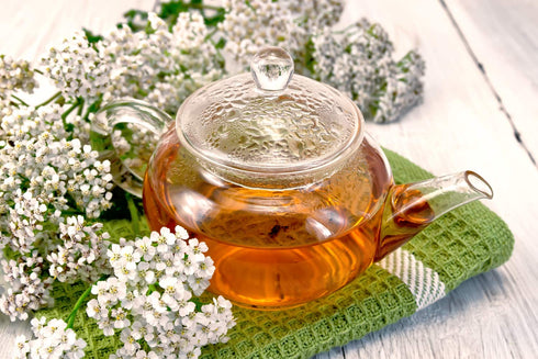 Health Embassy Yarrow Herb Tea - Achillea millefolium L - Herbal Tea (100g)