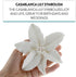 3 Count Global Sugar Art Casablanca, Easter Lily Sugar Cake Flowers, White Extra Large by Chef Alan Tetreault