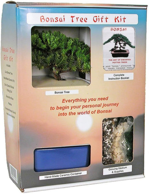 Eve's Garden, Inc Live Japanese Juniper Tree Bonsai Tree Gift Kit !!!! Cannot Ship to CA California & HI Hawaii !!!