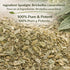 4 oz (113g) 100% Prodigiosa Herbal Tea Natural Mexican Herb Wildcrafted Brickellia Vegan, Non-GMO Loose Leaf Herbal